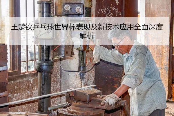 王楚钦乒乓球世界杯表现及新技术应用全面深度解析 | HTH SPORTS