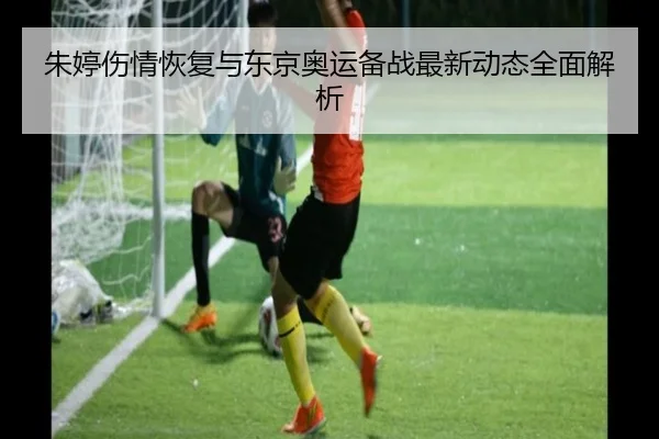 朱婷伤情恢复与东京奥运备战最新动态全面解析 | HTH SPORTS